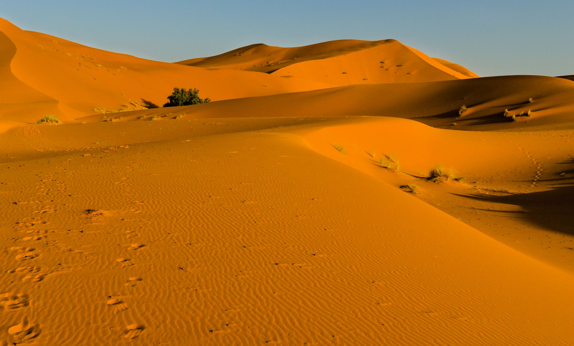 Rolling desert sand dunes with strong shadow texture