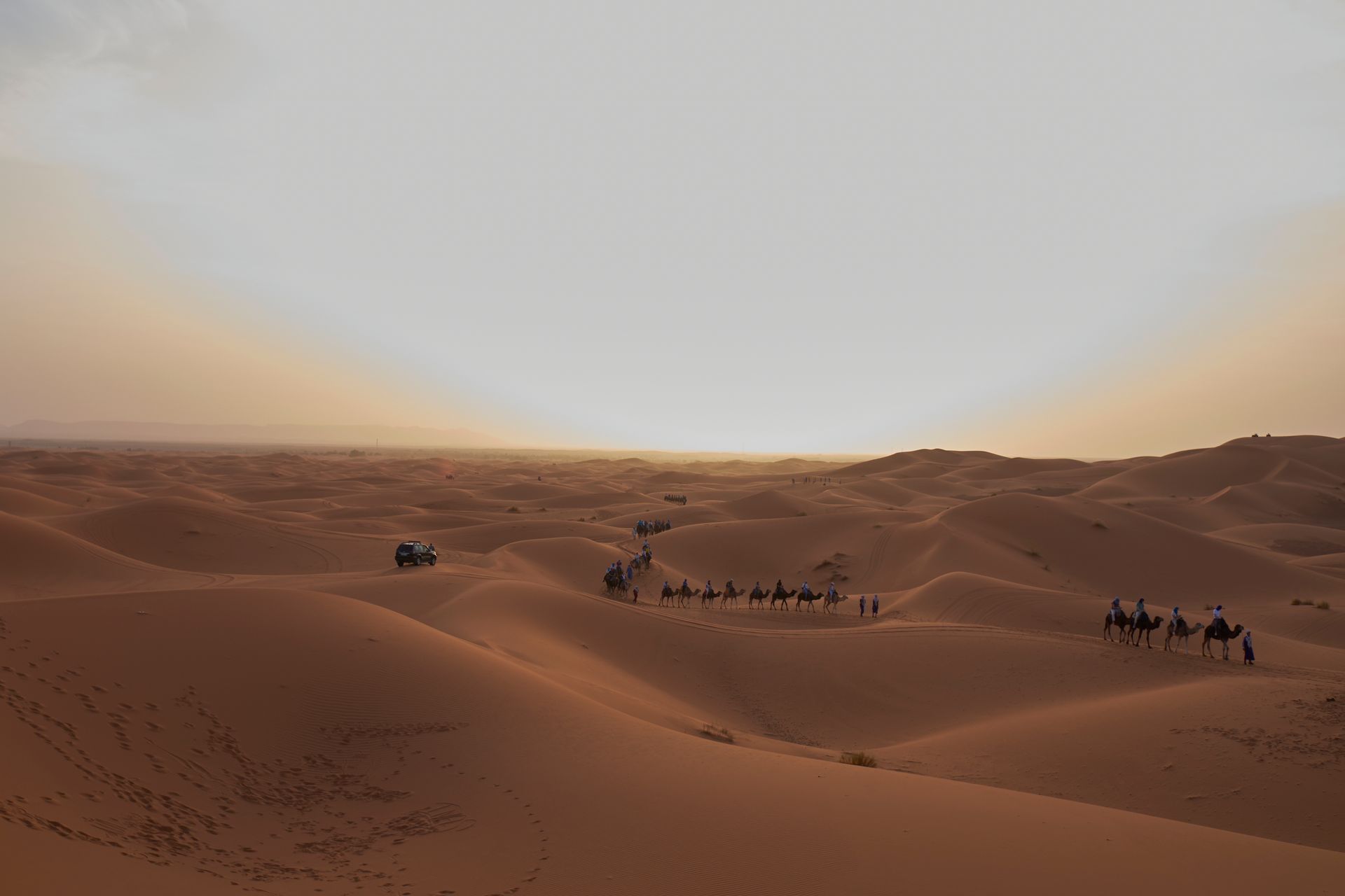 Sahara desert dune ridgelines lit in warm sunset tones
