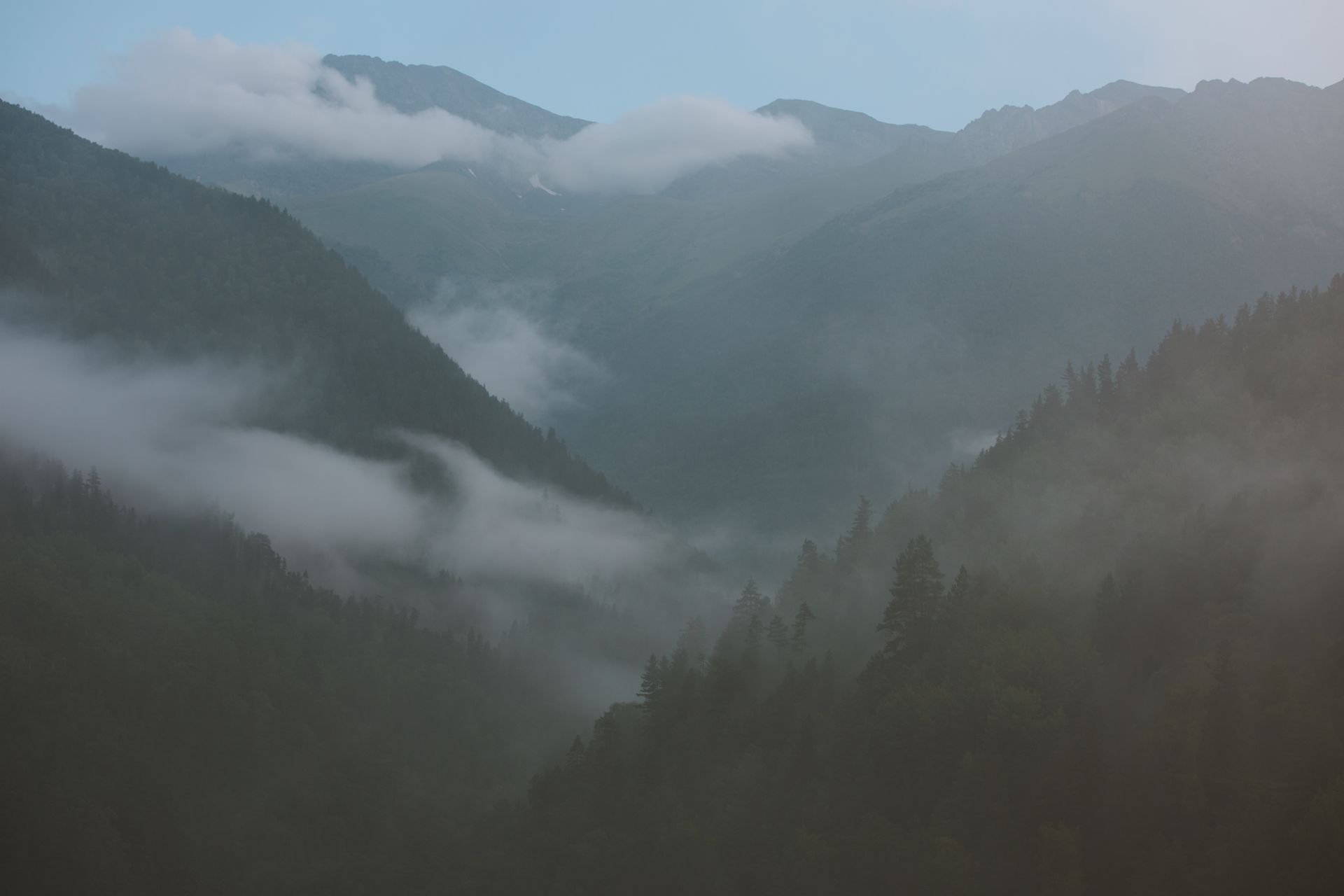 A sequence of five landscape photos swapping in frame by frame as you scroll, fading from grayscale to full color