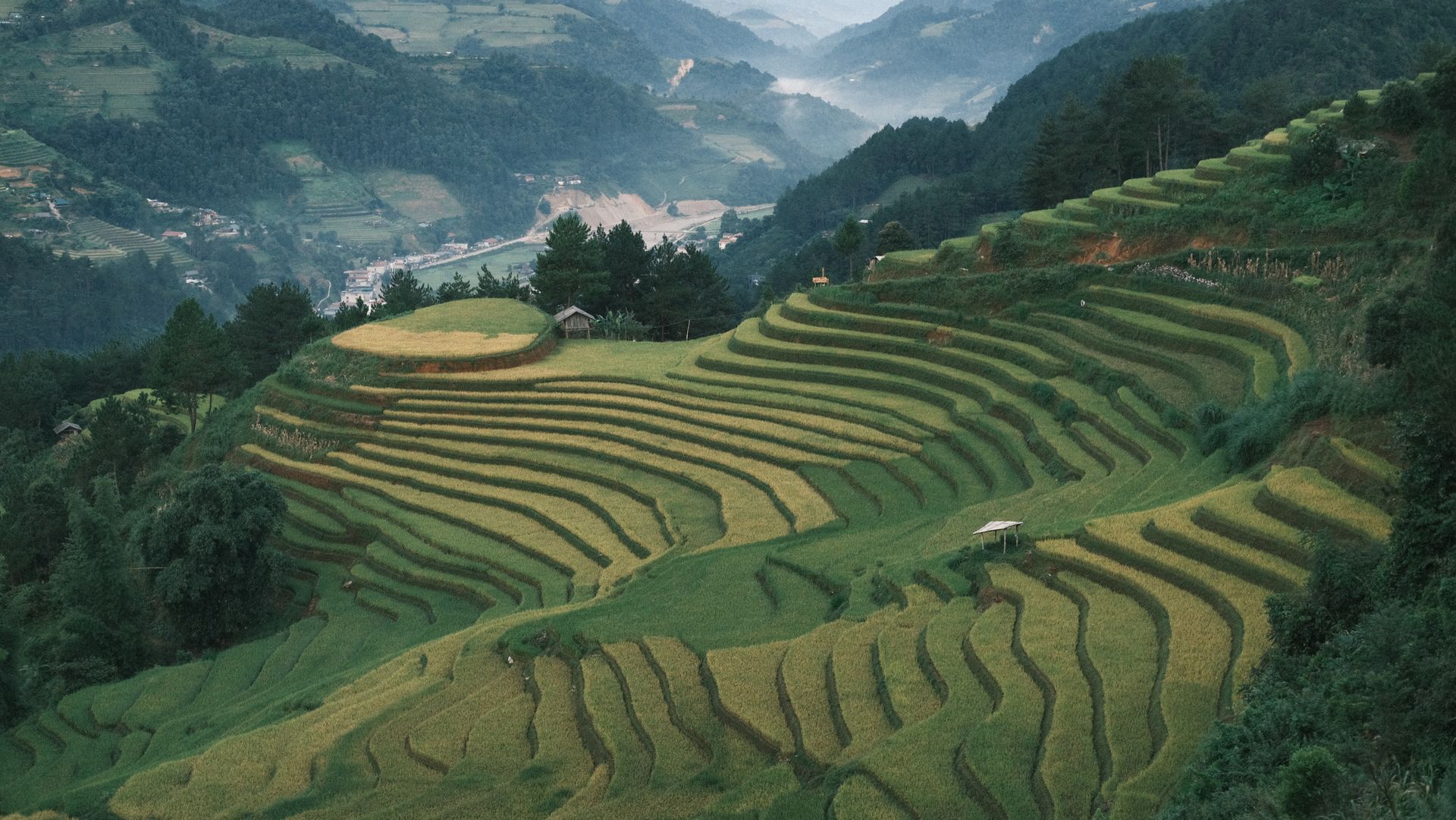 Green terraced rice fields carved into a hillside
