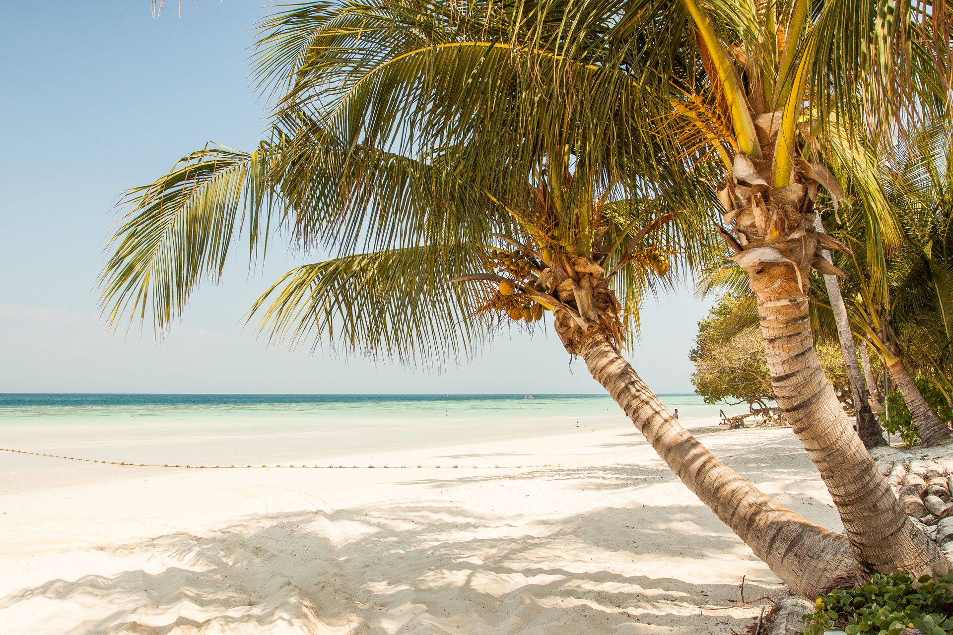 A tropical island with palm trees and a white sand beach